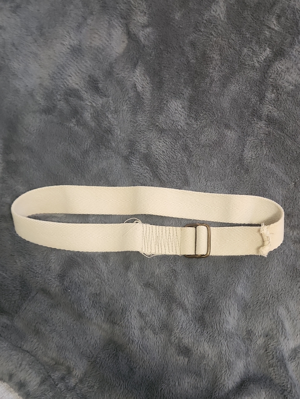 Neutral Canvas Web Belt - Cream
